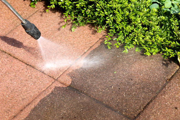 Best Affordable Pressure Washing  in Iowa, LA