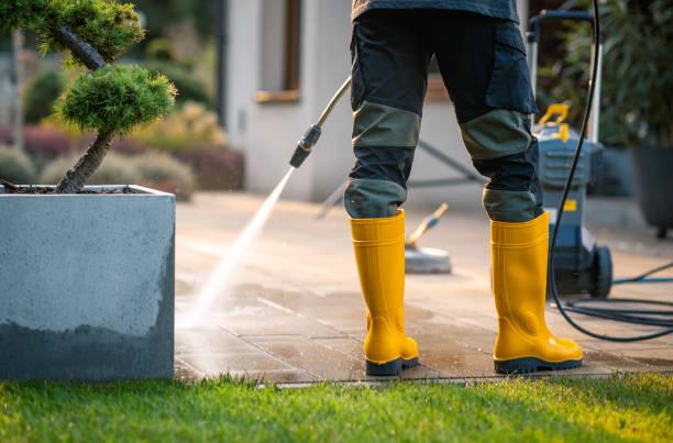 Best Local Pressure Washing Services  in Iowa, LA
